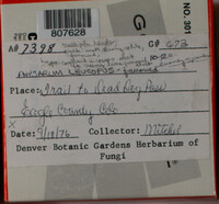Image Associated With the Occurence